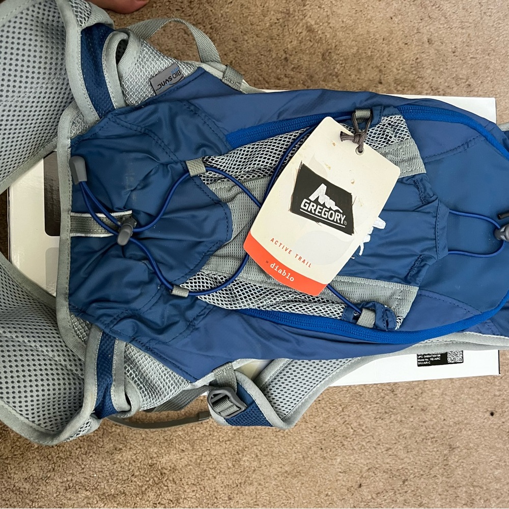 Gregory Men's Backpack in Blue and Gray